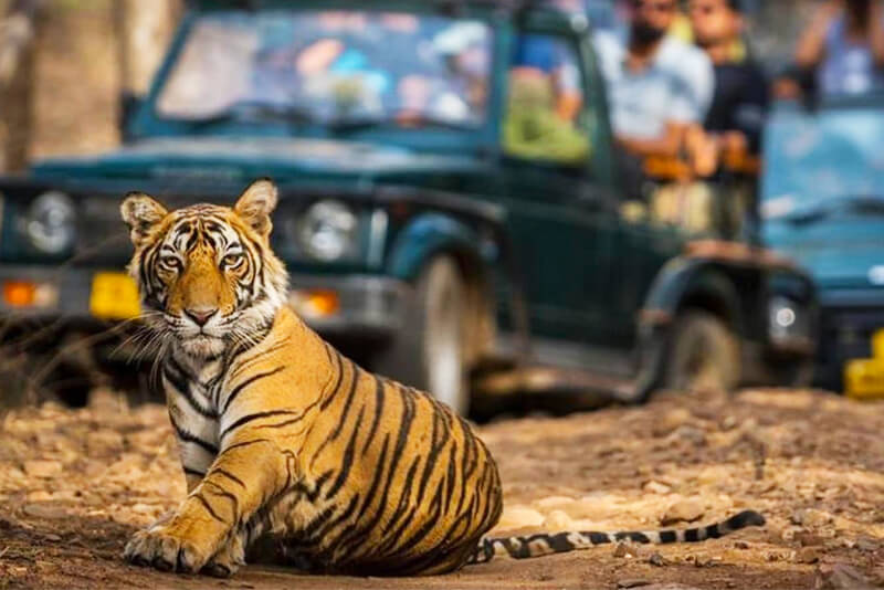 Corbett Group Tour