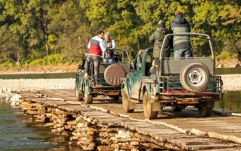 jeep safari